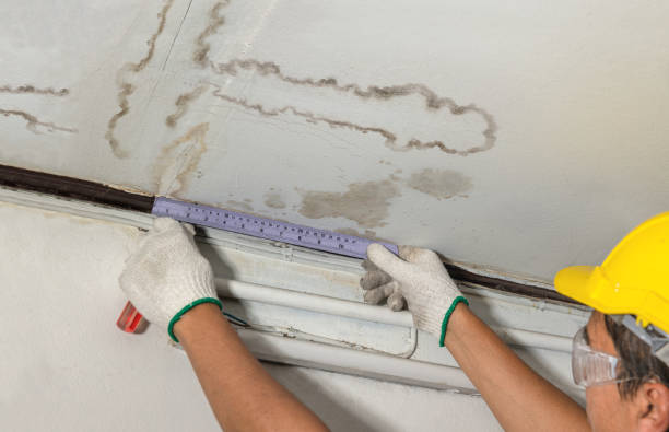Affordable Water Damage Repair solutions in Jacksontown, OH